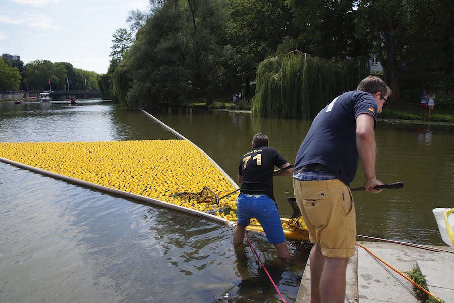 5.000 Enten liefern sich Wettrennen auf dem Neckar