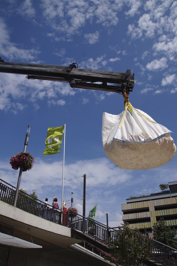 5.000 Enten liefern sich Wettrennen auf dem Neckar